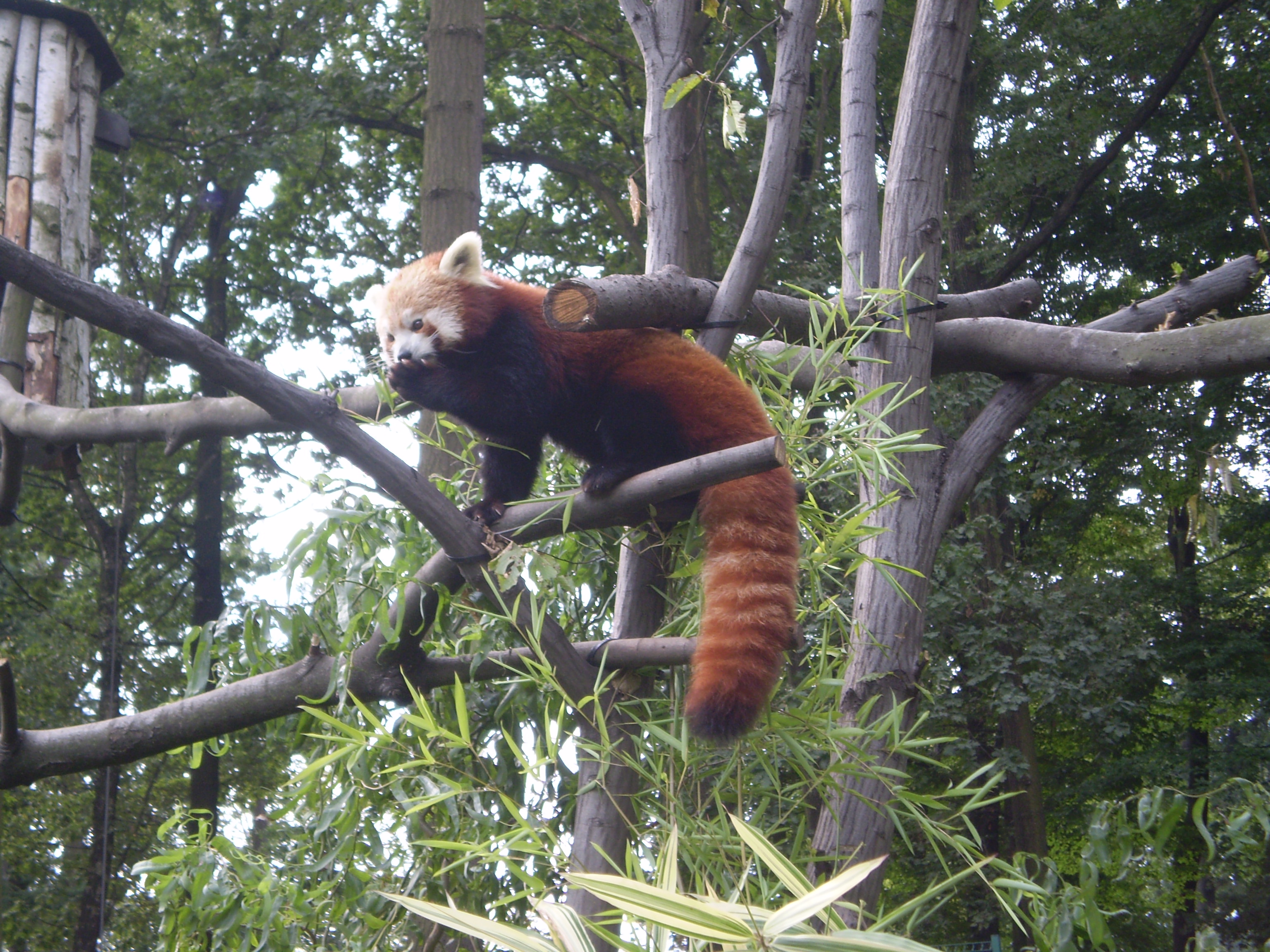 zoo-8--2010-011